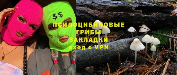 дурь Костерёво