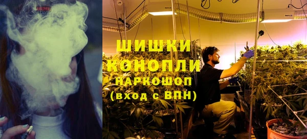spice Козловка