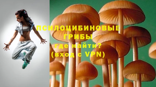 первитин Козельск