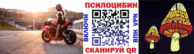 Псилоцибиновые грибы прущие грибы  Купить закладки  Буинск 